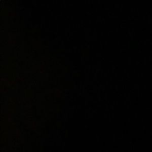 Meet your Posher, Lavinia